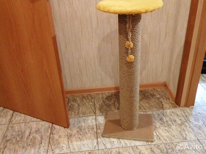 Когтеточки