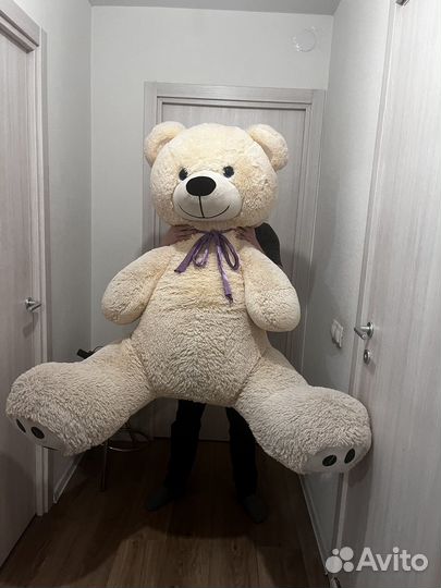 Плюшевый медведь