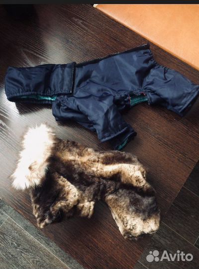 Вещи для животных