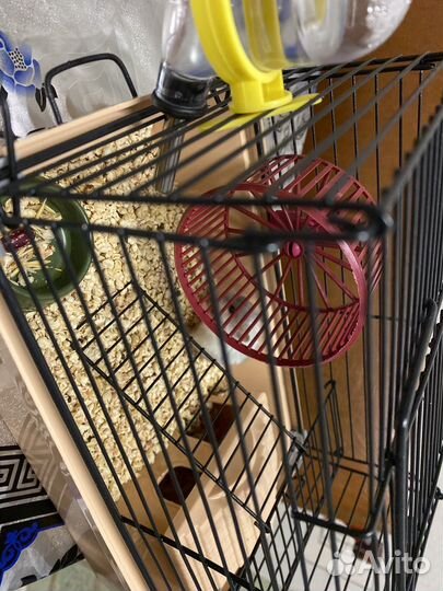 Хомяк с клеткой