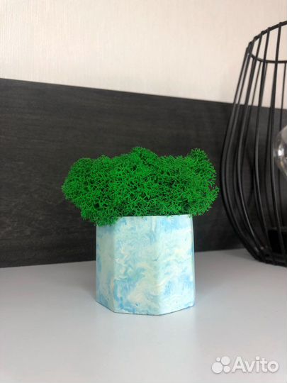 Кашпо со стабилизированным мхом