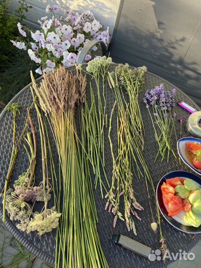 Цветы сухоцветы