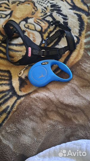 Поводок рулетка и шлейка