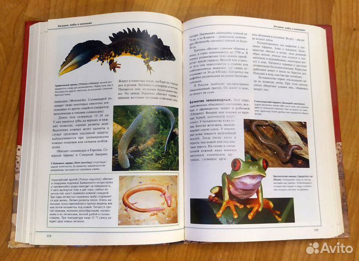 Энциклопедия аиф только 14-18 тома