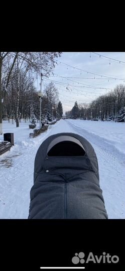 Коляска stokke xplory