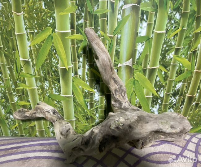 Коряга для декора дрифтвуд 60/30/10