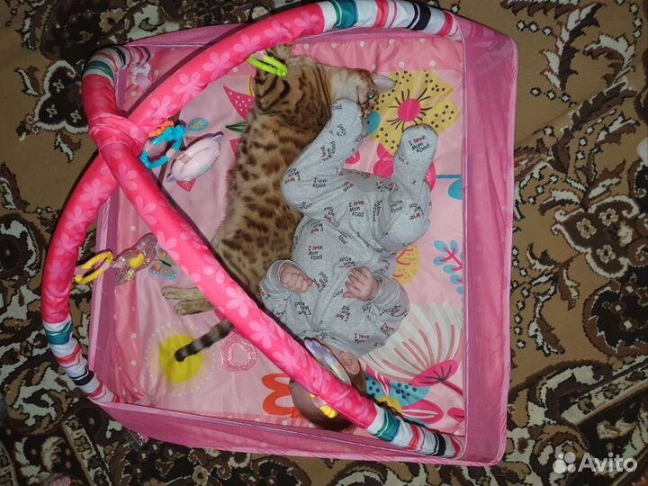 Развивающий коврик