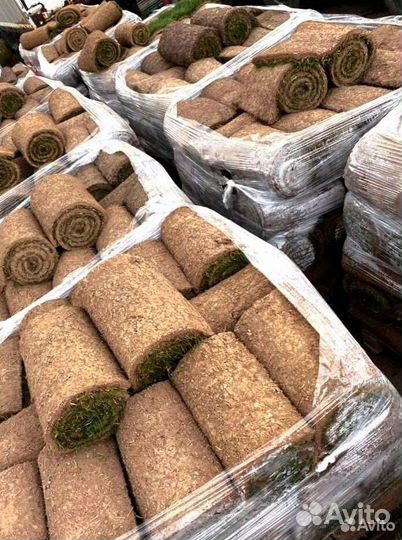 Рулонный газон с укладкой и под ключ