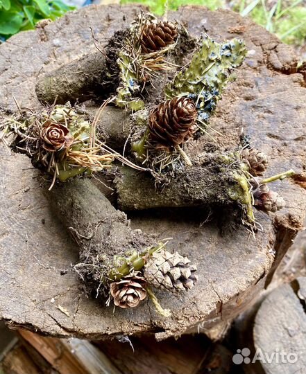 Свечи земляные очищение