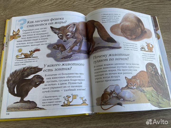 Детская энциклопедия 