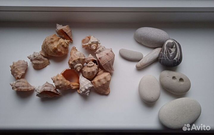 Камешки и ракушки натуральные