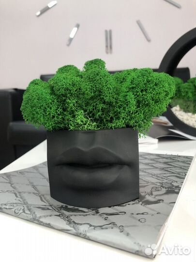 Кашпо Губы Джоли со мхом