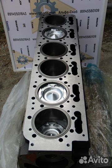 Short block на двигатель Cummins NTA855