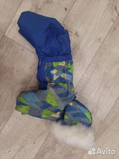 Одежда для собак