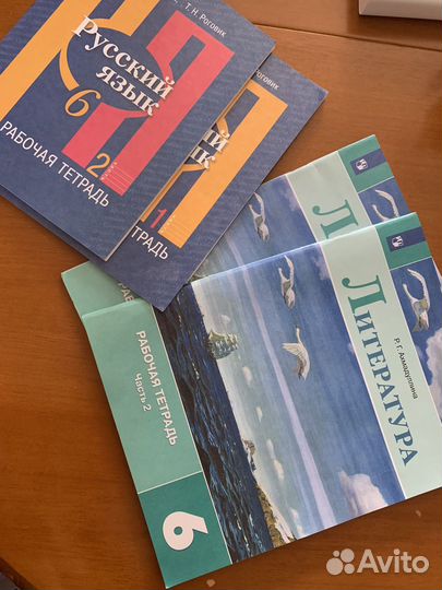 Русский язык и литература рабочие тетради