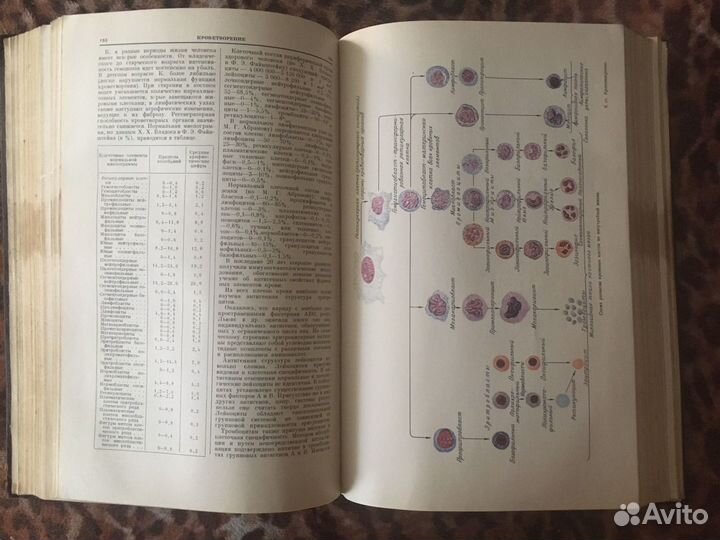 Книга Большая медицинская энциклопедия