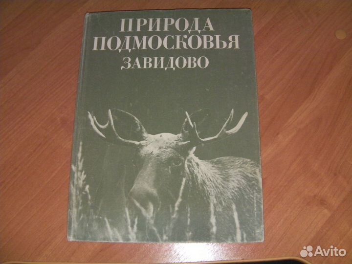 Книга с фотографиями природа 