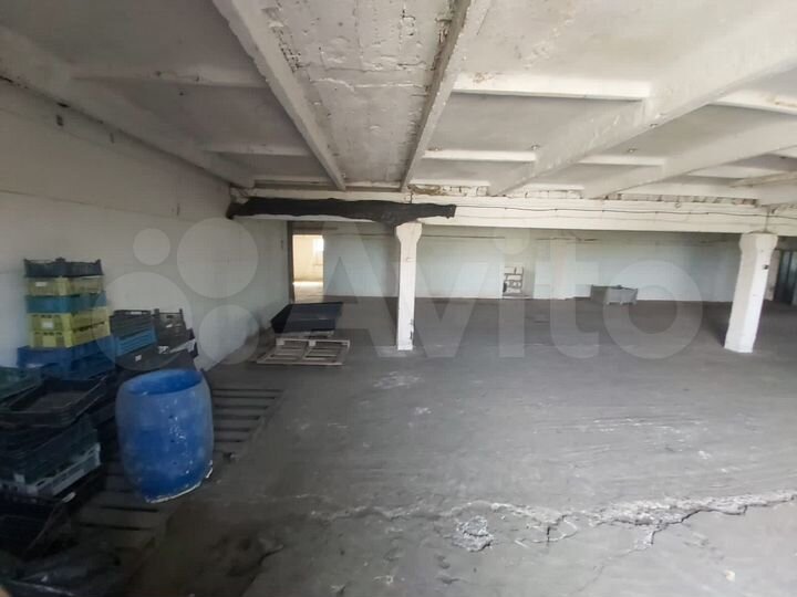 Здание 1238 м² + Земля 1 Га