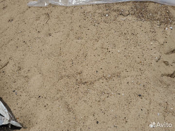 Песок с ракушкой для кур