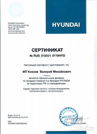 Бензиновый генератор Hyundai HHY 10000FE