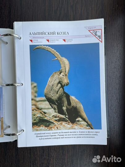 Энциклопедия «В мире дикой природы»