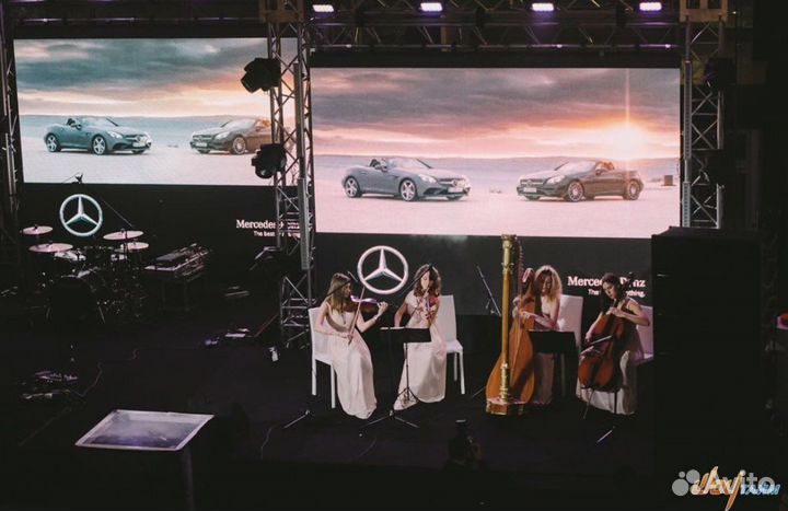 Эксклюзив Арфа Арфистка и музыканты на мероприятие