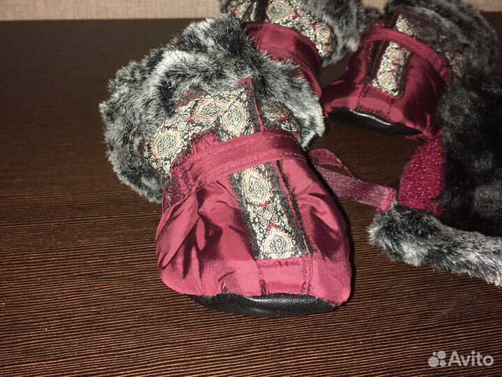 Одежда для кроличьей таксы