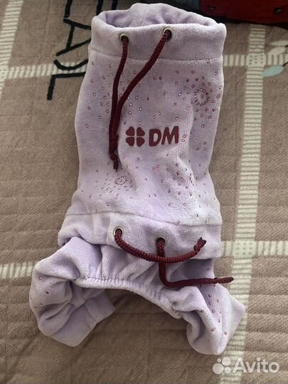 Одежда и обувь для собак