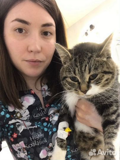 Стерилизация / кастрация