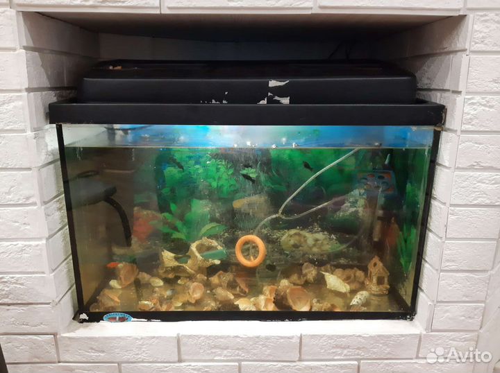 Аквариум