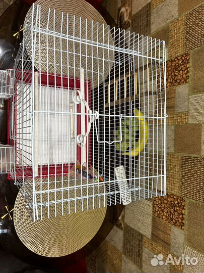 Клетка для попугая