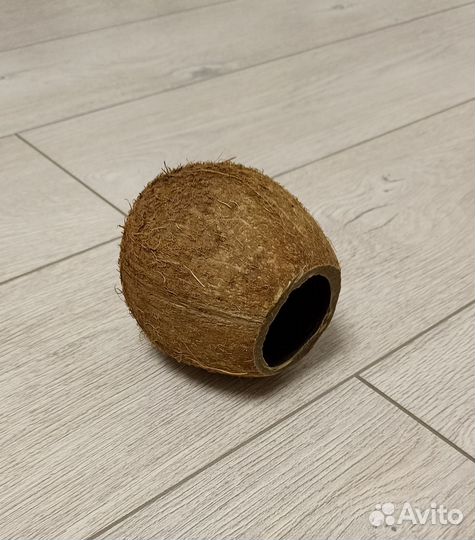 Укрытие для рептилий и рыбок/ домик из кокоса