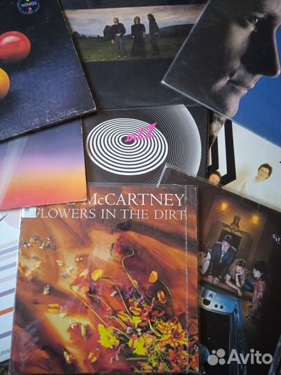 LP виниловые пластинки