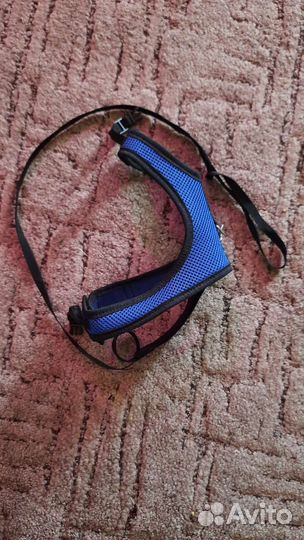 Для кошек и мелких собак