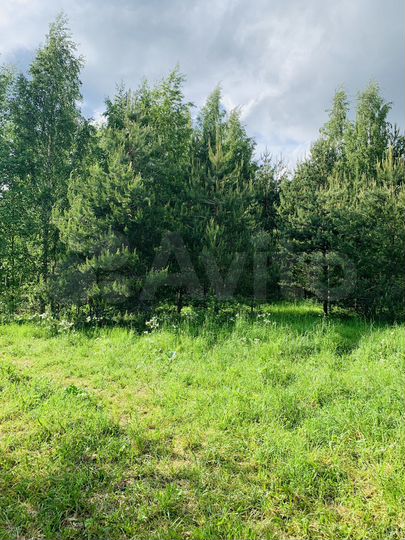 Участок 10 сот. (СНТ, ДНП)