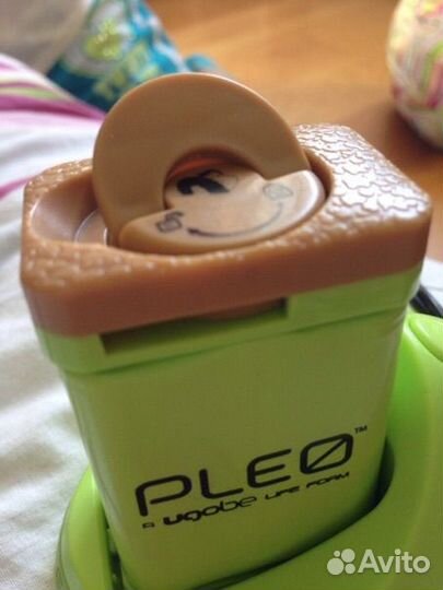 Для динозавтра Плео