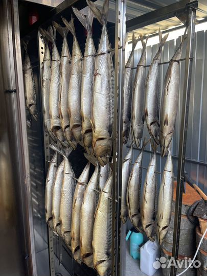 Скумбрия холодного копчения