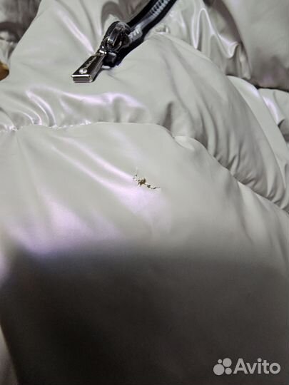 Пуховик noble people 14/164