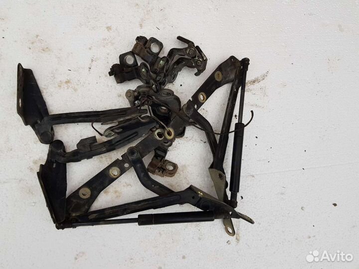 Петли капота дверей Ford Focus 1