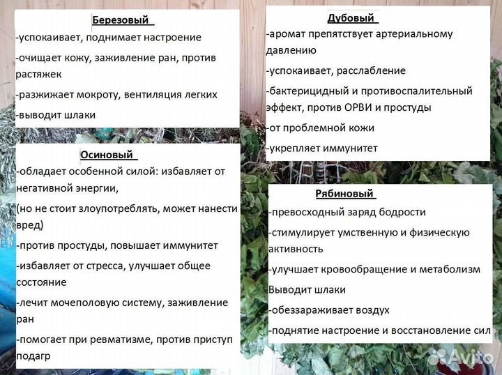 Восхитительные веники для бани калина, сирень и тд