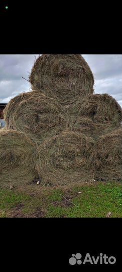 Сено в рулонах