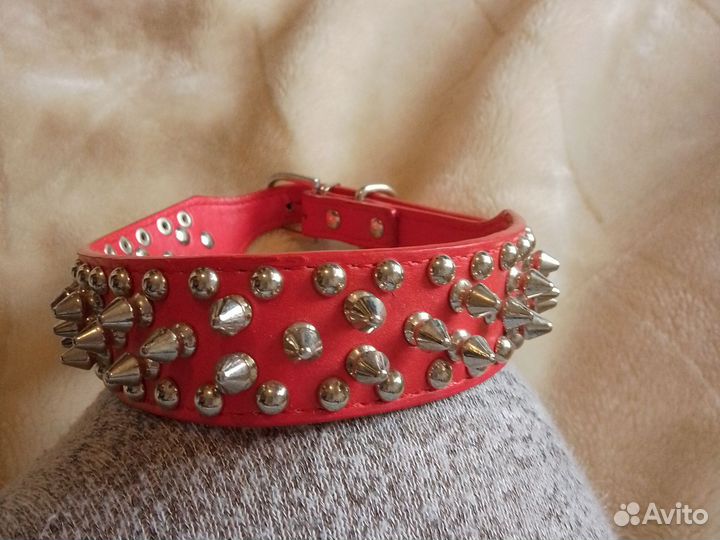 Ошейники для собак