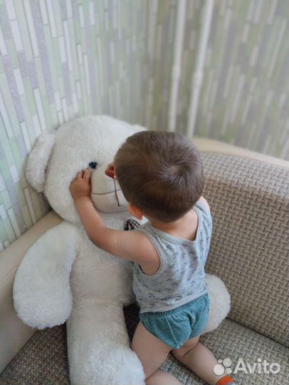 Плюшевый медведь