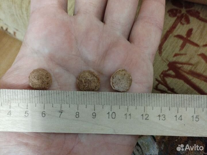 Корм для собак суперпремиум