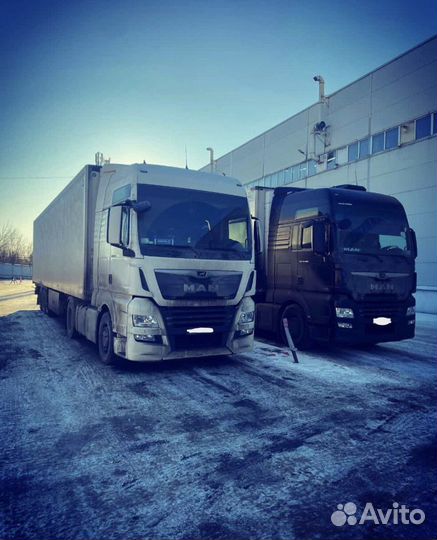 Услуги Рефа