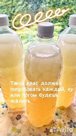 Квас натурального брожения