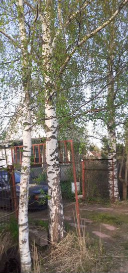 Участок 13,5 сот. (СНТ, ДНП)