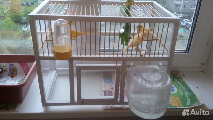 Клетки для птиц