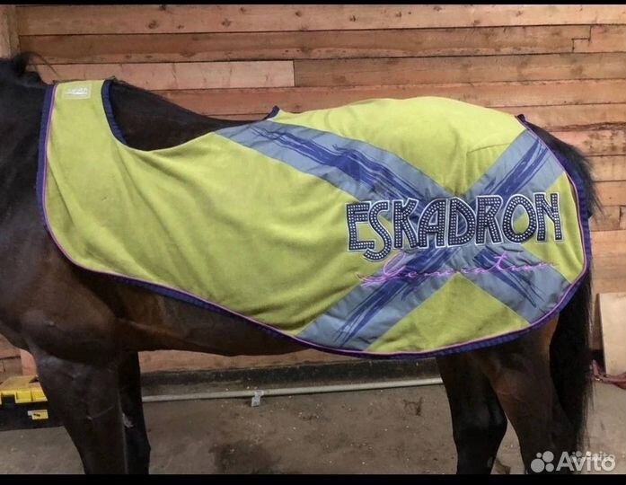 Полупопона