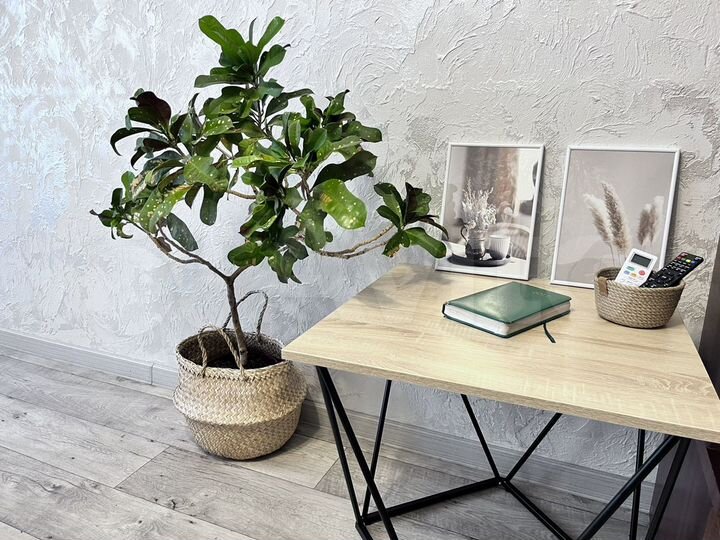 1-к. квартира, 32 м², 4/5 эт.